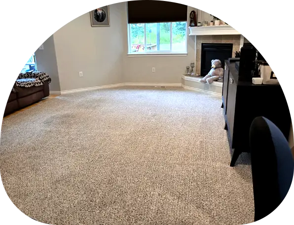 Carpet Cleaning