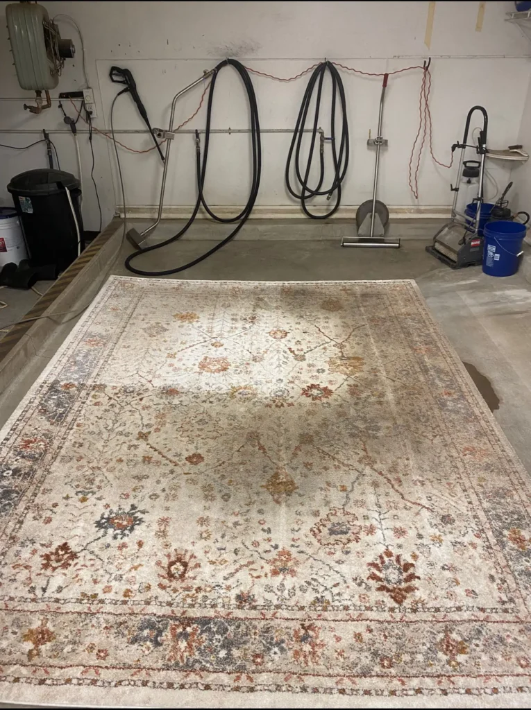 Caring Area Rug J S Steamway Carpet Cleaning Anchorage