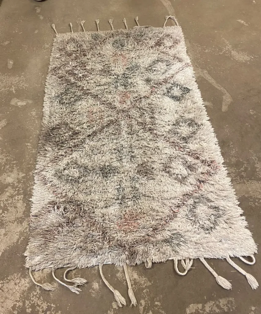 12 Step Carpet Cleaning Program