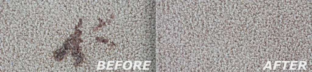 How to Choose a Good Carpet Cleaner Pt. 4 – Carpet Cleaning Systems