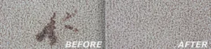 How to Choose a Good Carpet Cleaner Pt. 4 – Carpet Cleaning Systems