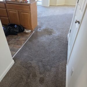 Wet carpet at a doorway during the first hours of a water damage response