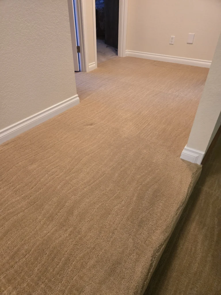Hard floor part way through cleaning, showing cleaned and uncleaned sections